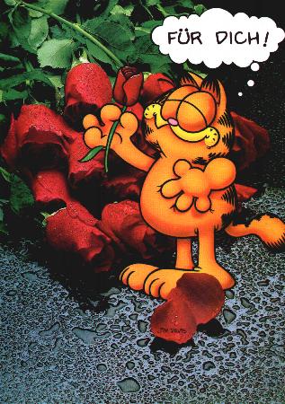 Garfield für Dich
